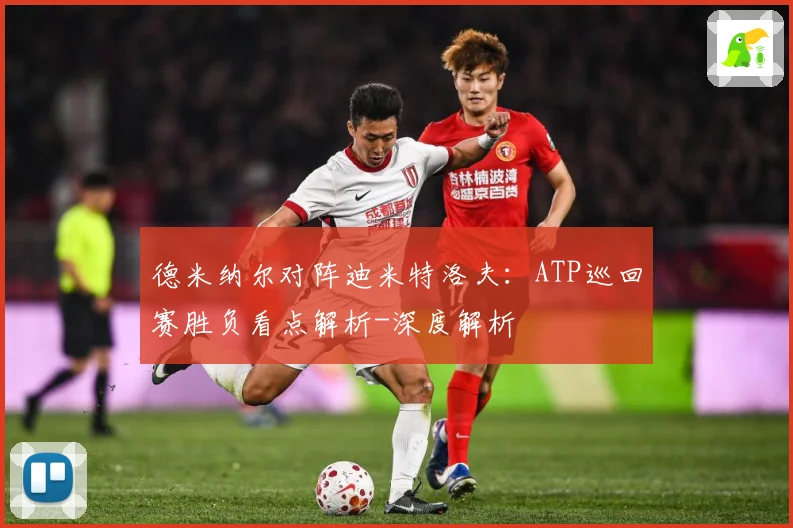 德米纳尔对阵迪米特洛夫：ATP巡回赛胜负看点解析-深度解析