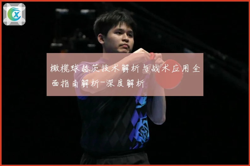 橄榄球赫茨技术解析与战术应用全面指南解析-深度解析