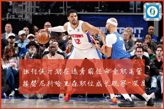 独行侠计划在选秀前任命全职高管接替尼科哈里森职位成长观察-深度解析