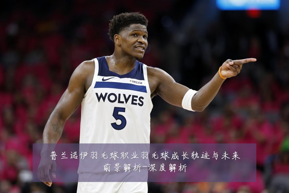 普兰诺伊羽毛球职业羽毛球成长轨迹与未来前景解析-深度解析